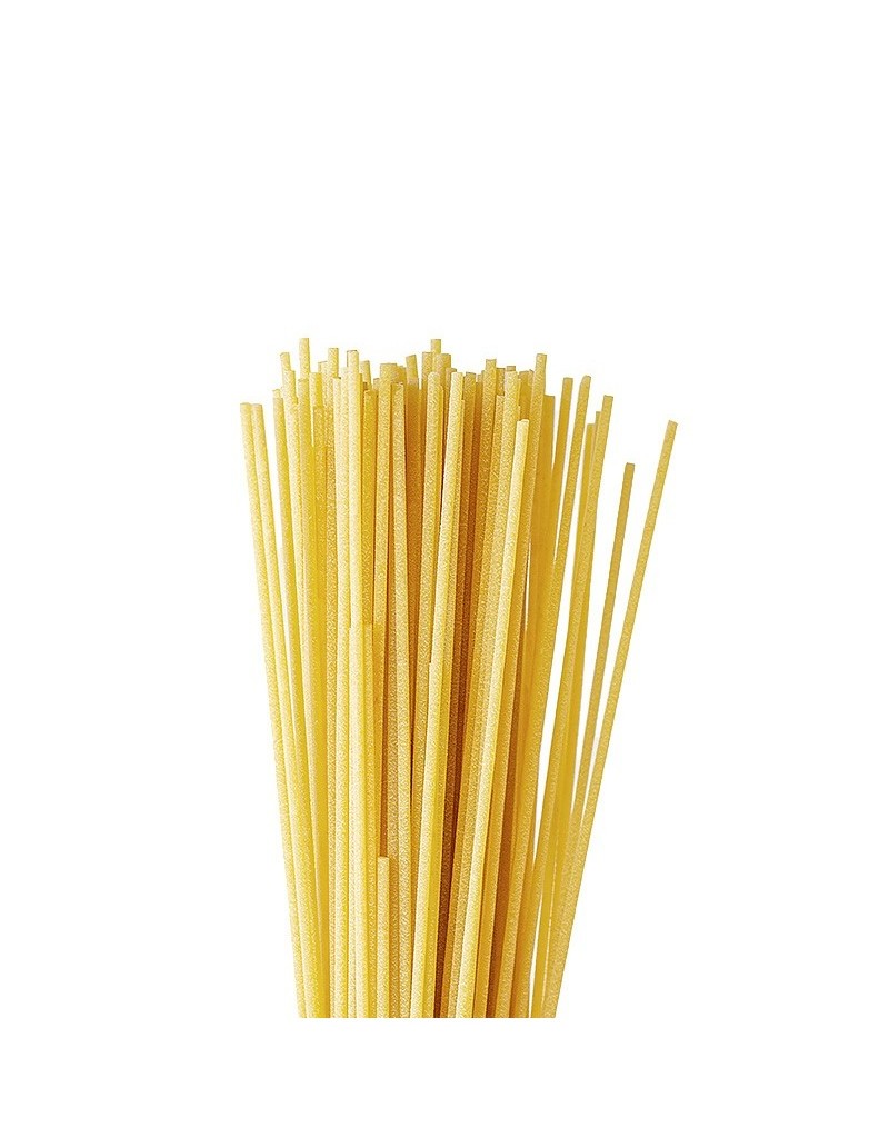 Spaghettis éViva : Redécouvrez la Vraie Pasta Italienne !