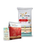 Forte 320