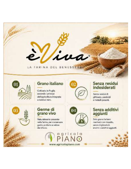 Antica 2000 | Italian Type "0" Flour from Ancient Grains with Wheat Germ