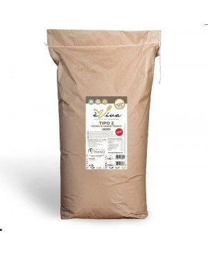 Farina di grano tenero tipo 2 Forte con germe di grano vivo 25 Kg