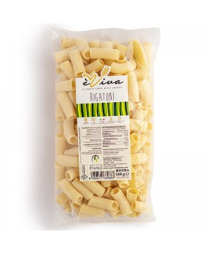 Rigatoni | Handwerkliche èViva Pasta, Bronze-Gezogene mit remillierter Grieß - 100% Italienischer Weizen mit Keim