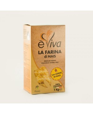 Corn Flour | Italian with Corn Germ - Professional, Additive-free - Ideal for Cornbread