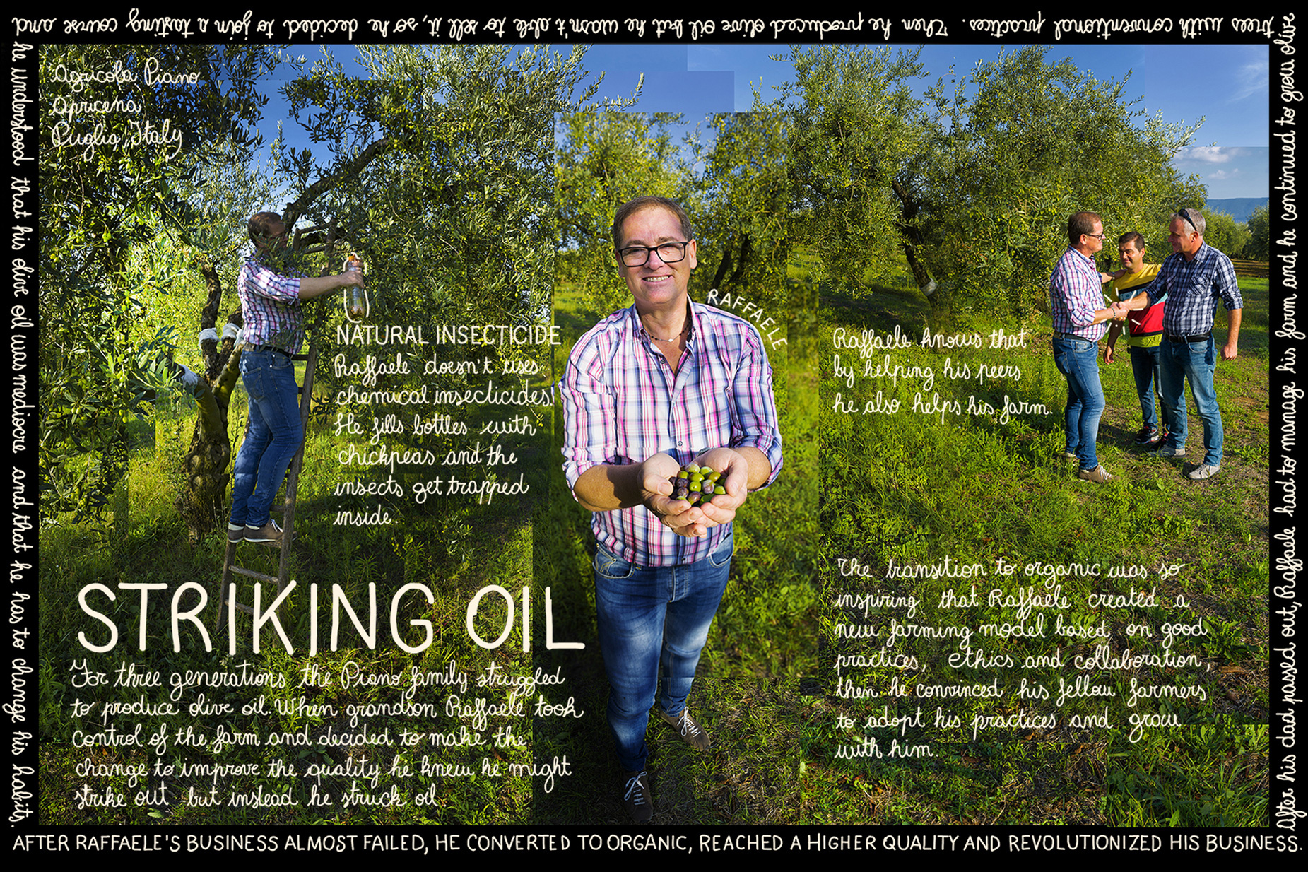 Striking oil Raffaele Piano Sustainable agriculture