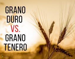 Différence entre blé dur et blé tendre