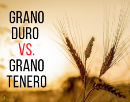 Che differenza c'è tra Grano Duro e Grano Tenero?