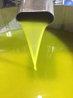 L’olio extravergine d'oliva quando scade cosa succede?