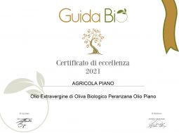 Guida Bio Olio Piano