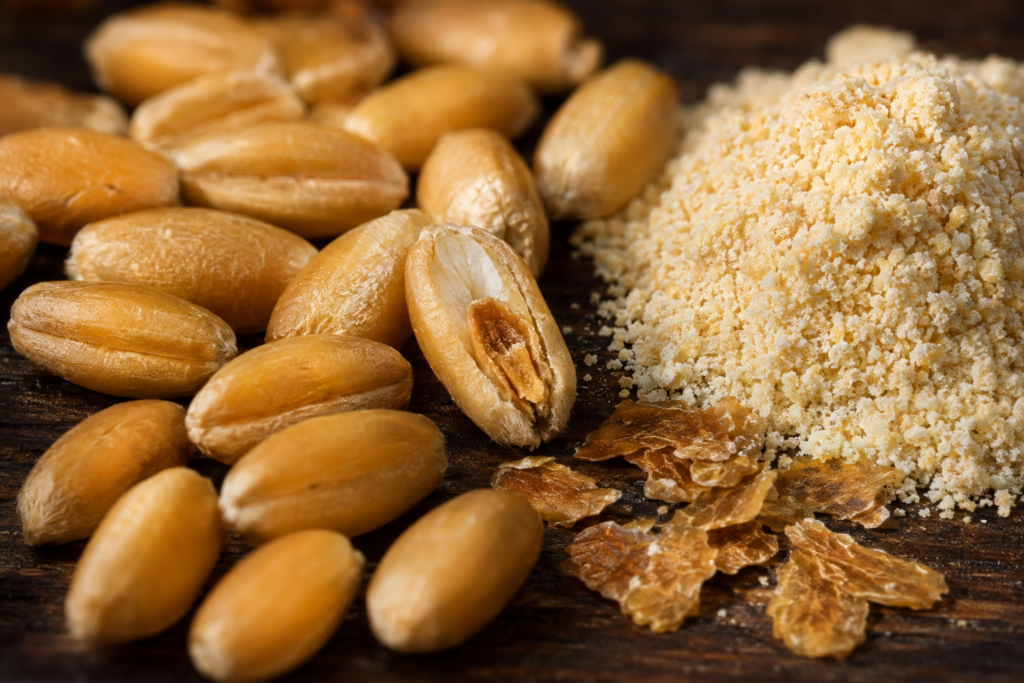 Chicchi di grano e germe di grano vivo nelle farine naturali