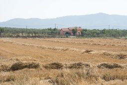 fertilizzare il terreno