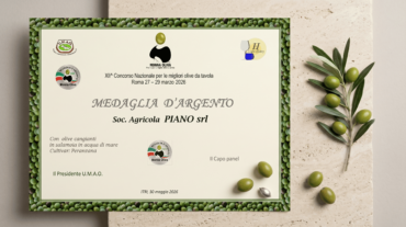 Attestato della Medaglia d’Argento Monna Oliva 2026 assegnata alle olive Peranzana in acqua di mare di Agricola Piano