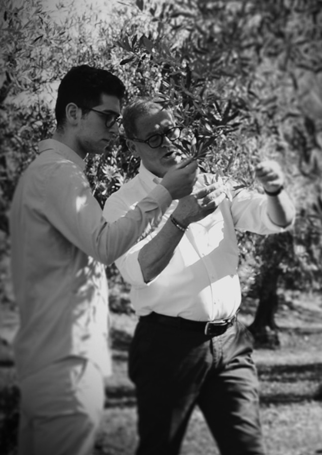 Raffaele Piano nell'uliveto con suo figlio