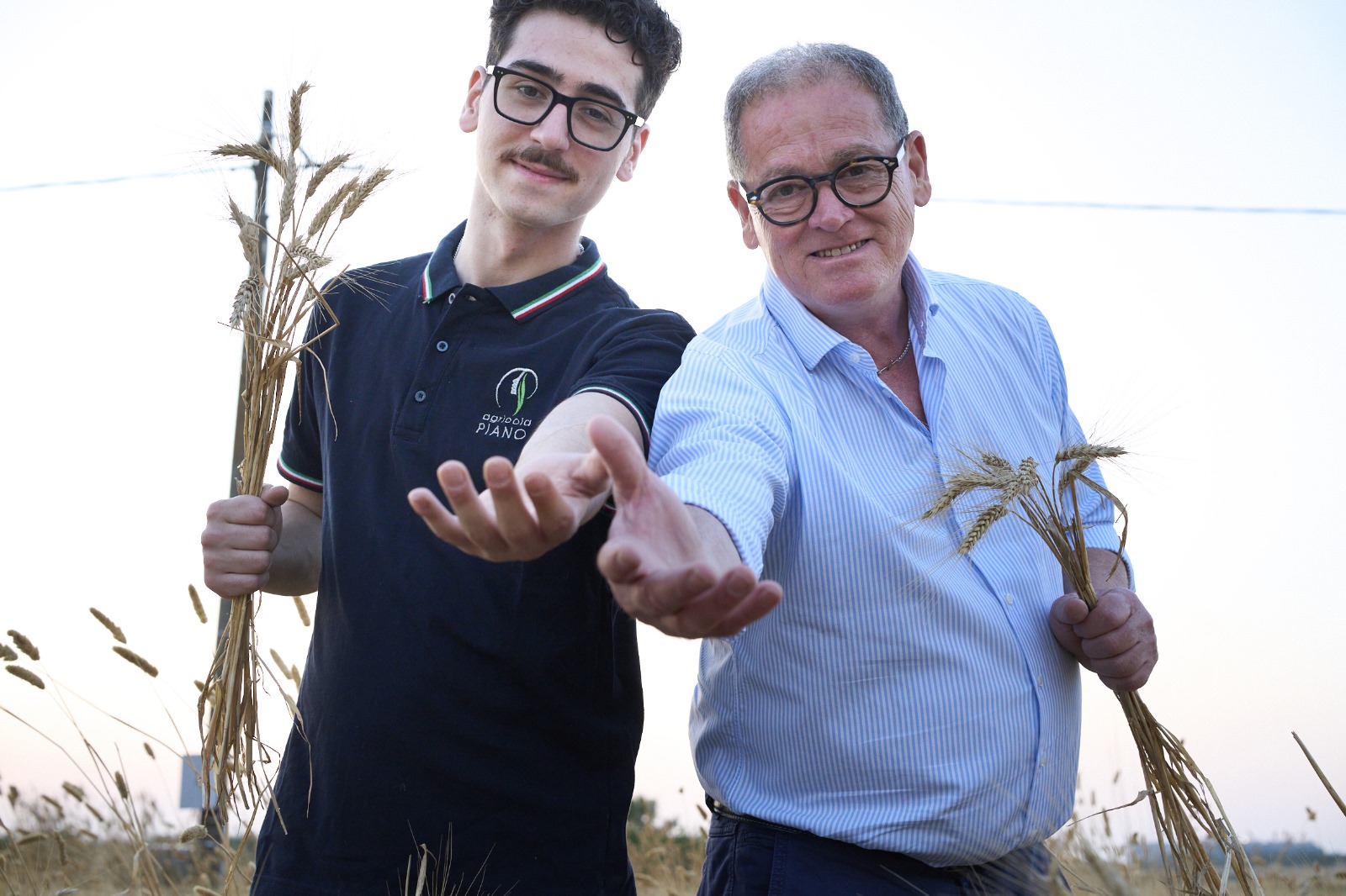 Mani che mostrano spighe di grano duro Peranzana