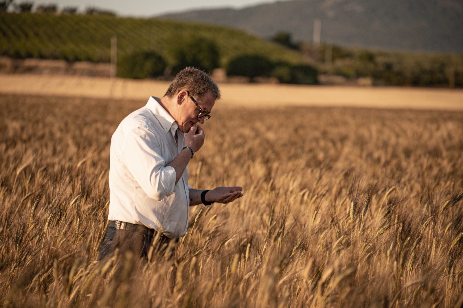 Contadino in un campo di grano Senatore Cappelli