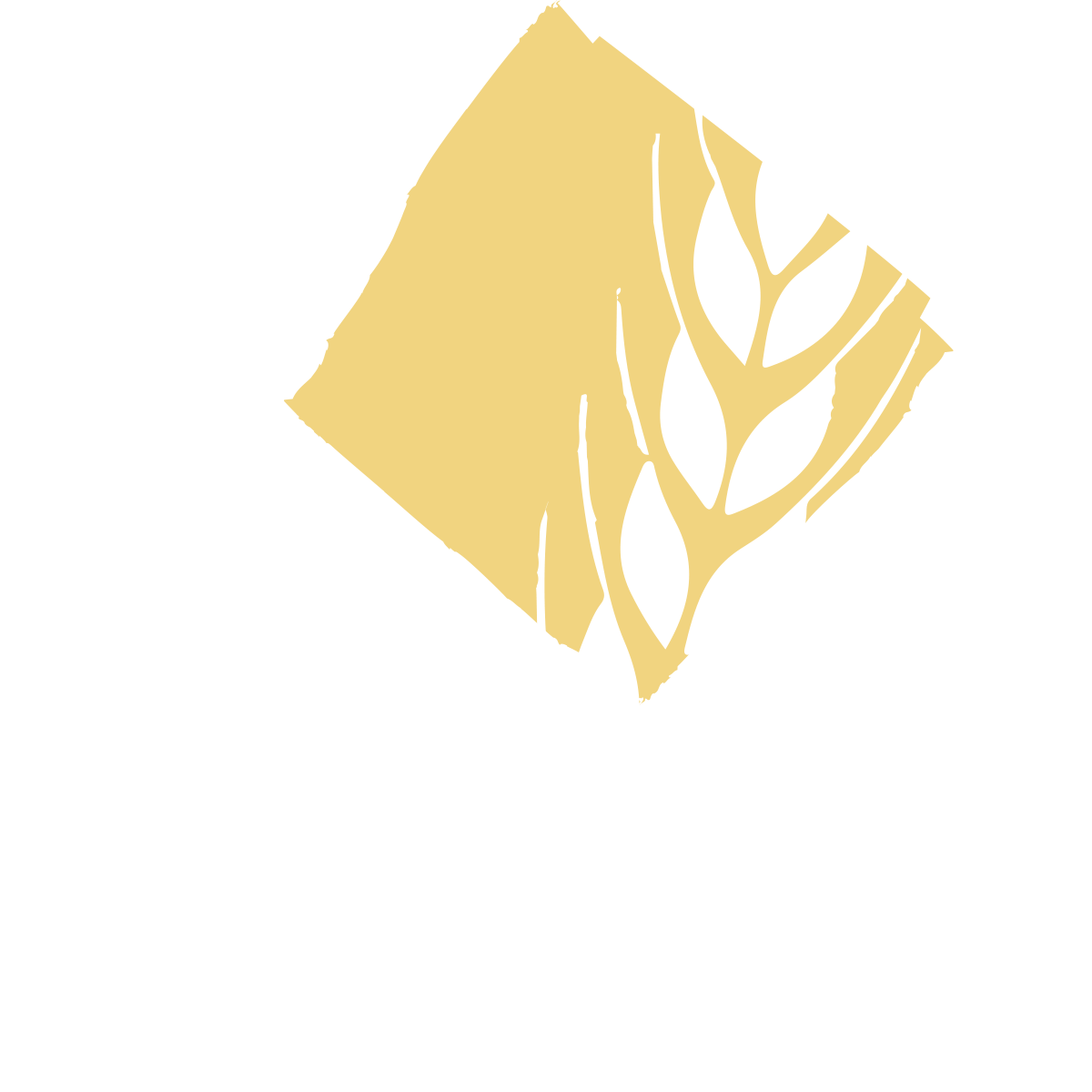 Agricola Piano Agricola Piano