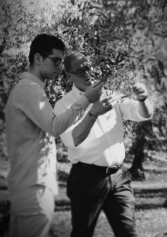 Agricola Piano in Alphabetcity Magazine Agricola Piano in Alphabetcity Magazine