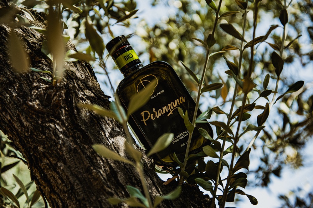 Organic Peranzana Oil “Olio Piano” awarded among the top Italian Monovarietal EVOOs Organic Peranzana Oil “Olio Piano” awarded among the top Italian Monovarietal EVOOs