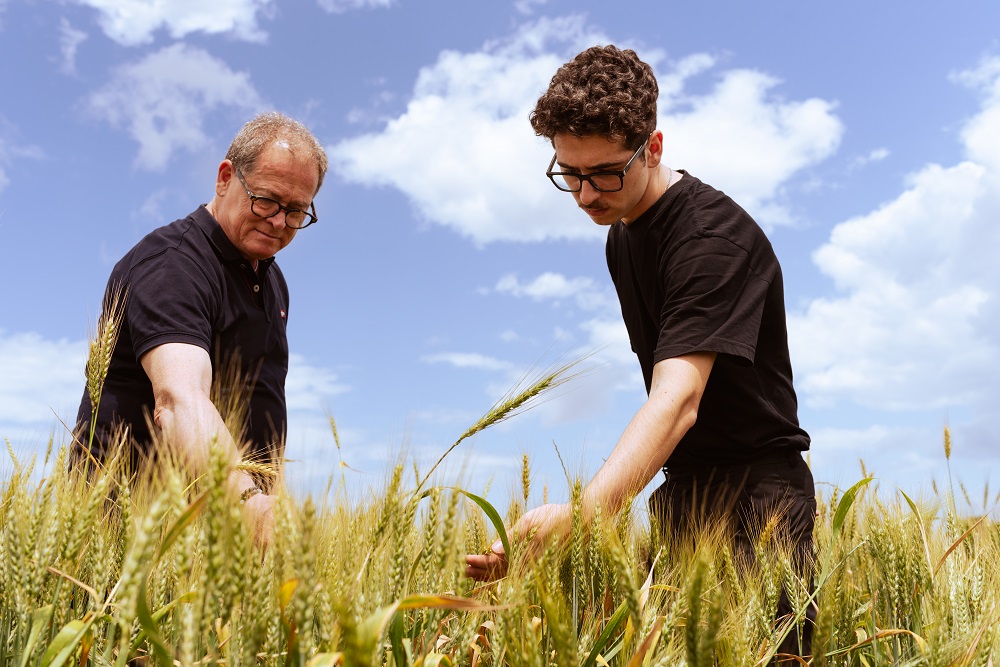 Tradition, Ethik und Nachhaltigkeit: Das Herzstück der Produktion von Agricola Piano Tradition, Ethik und Nachhaltigkeit: Das Herzstück der Produktion von Agricola Piano
