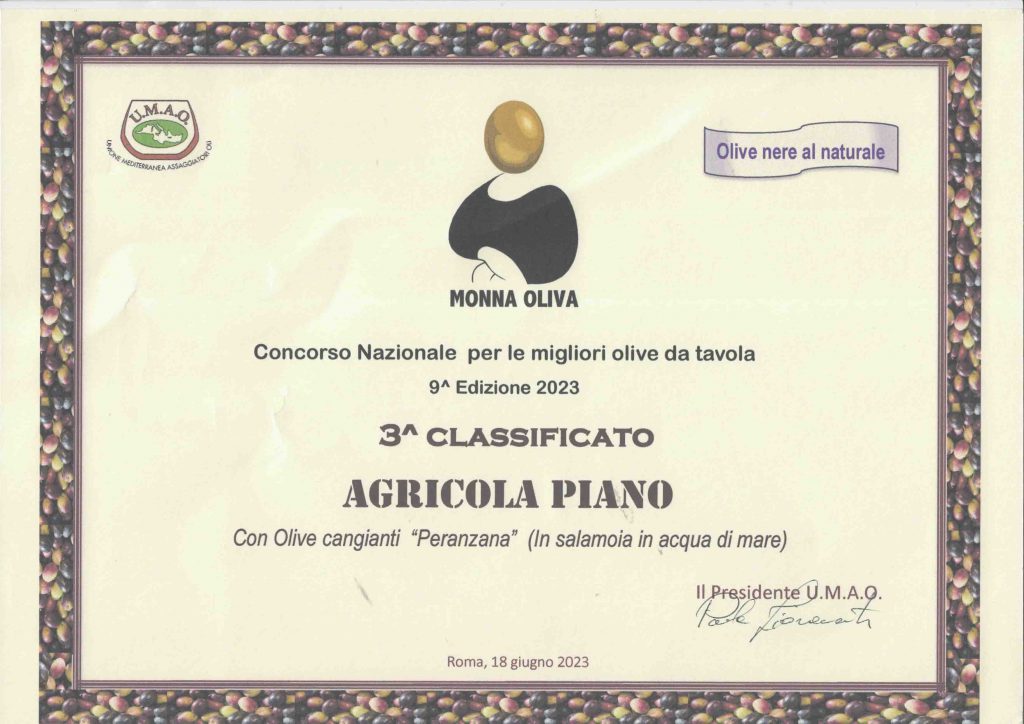 Olive Peranzana in Acqua di Mare: Dal 3° Posto al Concorso Monna Oliva all'Esperienza Culinaria Unica Olive Peranzana in Acqua di mare