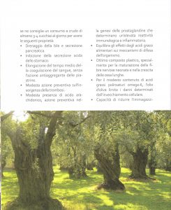 La mia cucina d’estate La mia cucina d’estate