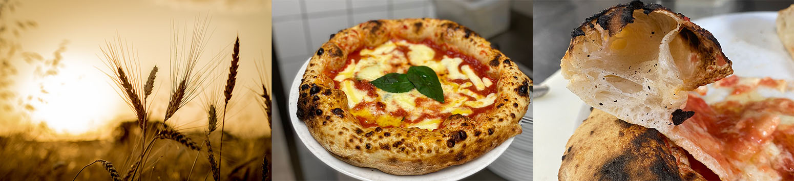 Forte 320 | Farina di Grano Tenero Tipo 0, Farina per pizza, Farina Italiana, No Pesticidi, Senza Additivi, Con Germe Forte 320 | Farina di Grano Tenero Tipo 0, Farina per pizza, Farina Italiana, No Pesticidi, Senza Additivi, Con Germe