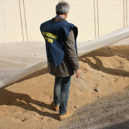 La Verità sulla Farina Bianca: Produzione, Additivi e Impatto sulla Salute La Verità sulla Farina Bianca: Produzione, Additivi e Impatto sulla Salute