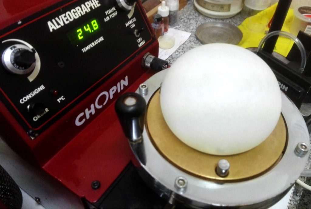 La forza della farina: un'analisi approfondita per grano tenero e grano duro La forza della farina: un'analisi approfondita per grano tenero e grano duro