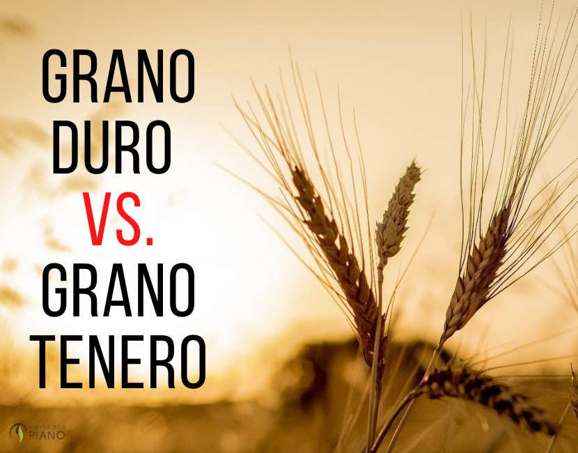 La Chiave per Scegliere la Farina Giusta: La Differenza Tra Grano Duro e Grano Tenero