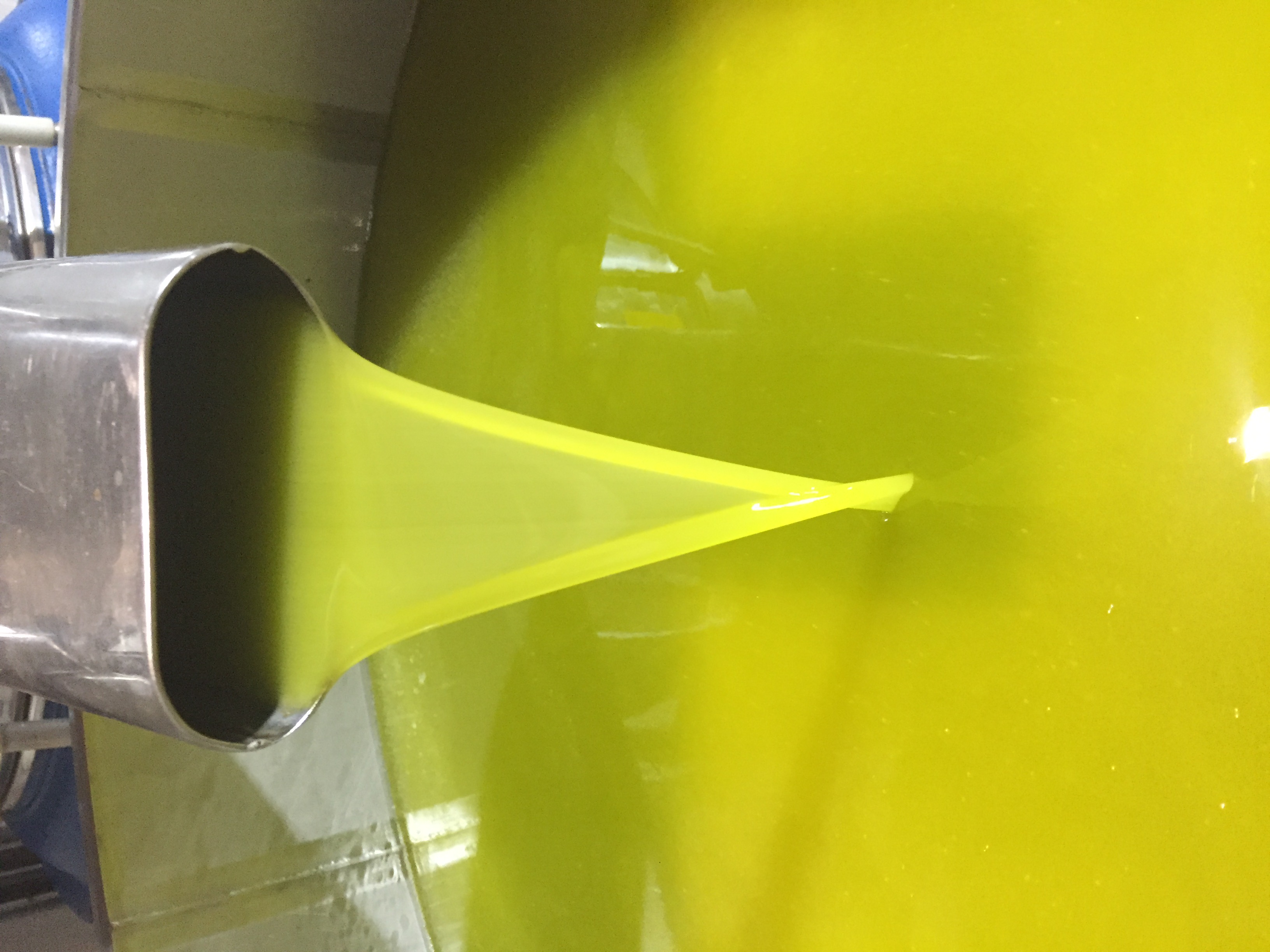 Quanto dura l'olio extravergine d'oliva? Scadenza e conservazione