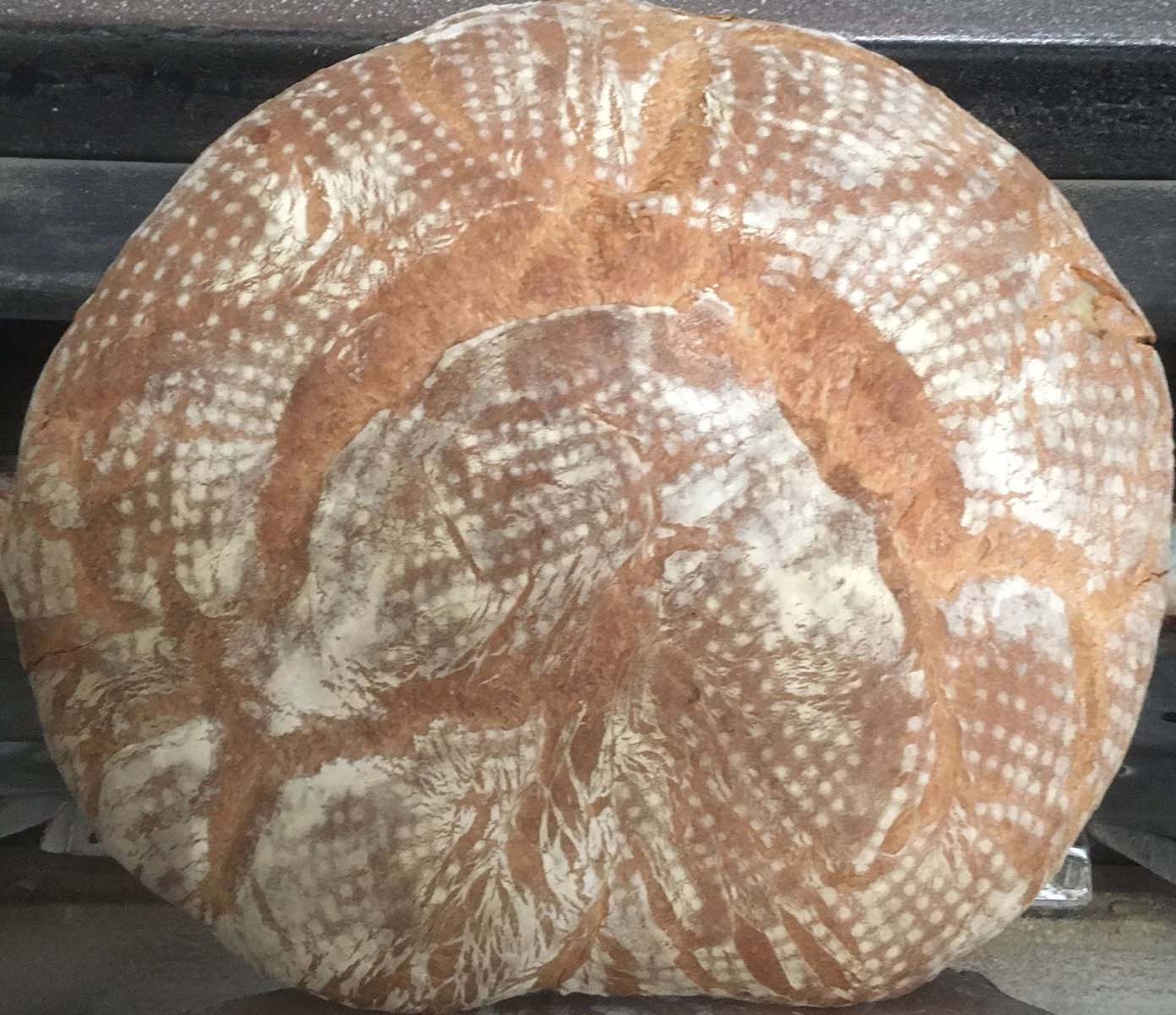 Pane di Monte Sant'Angelo: l'Eccellenza Slow Food con la Farina di Grani Antichi di Agricola Piano