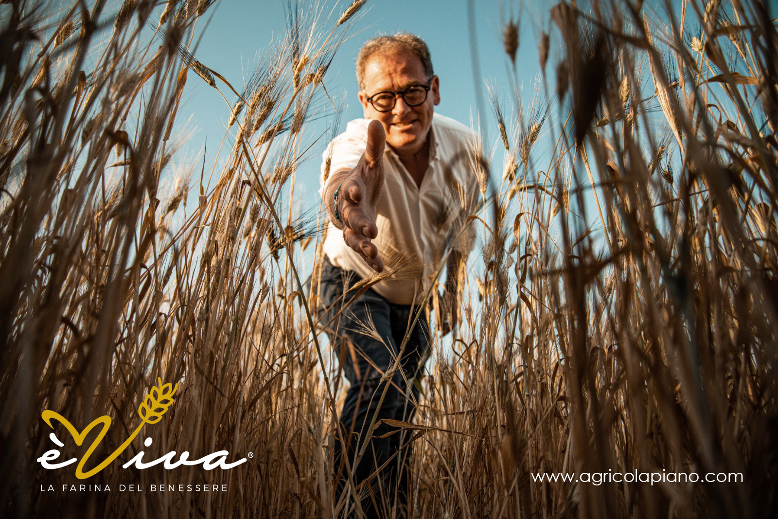 Farine Naturali èViva: Gusto, Salute e Sostenibilità per Tutti Farine Naturali èViva: Gusto, Salute e Sostenibilità per Tutti