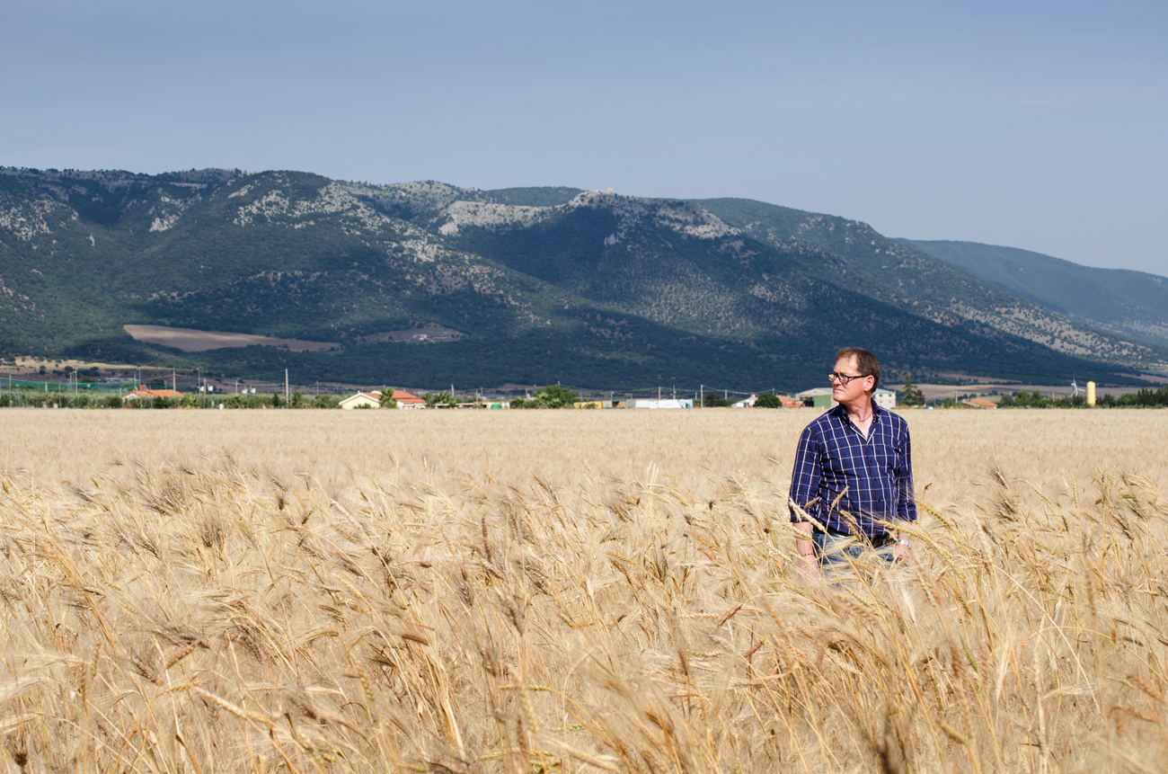 Blé Italien : L'excellence du blé des Pouilles et l'importance du Tavoliere delle Puglie Blé Italien : L'excellence du blé des Pouilles et l'importance du Tavoliere delle Puglie