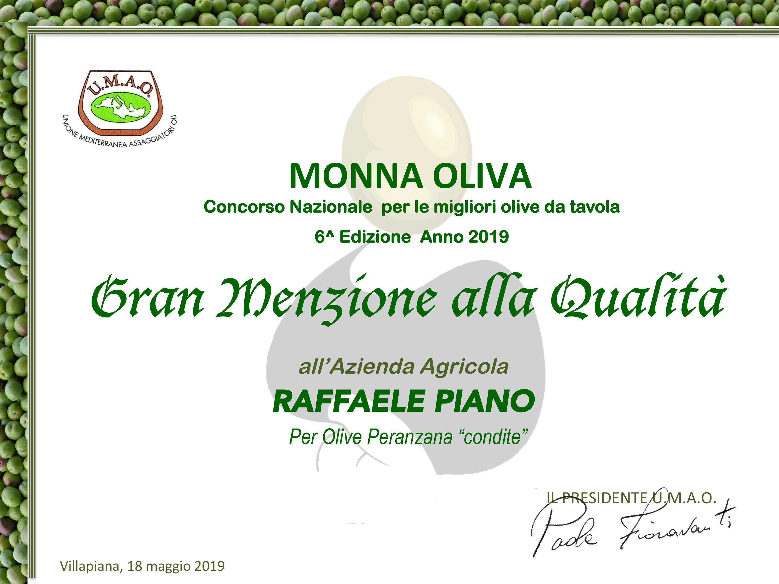 Monna Oliva 2019 : Reconnaissance Prestigieuse pour Agricola Piano avec la Mention Spéciale Olives Assaisonnées