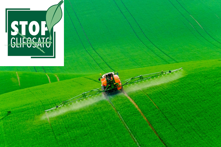Glifosato e Salute